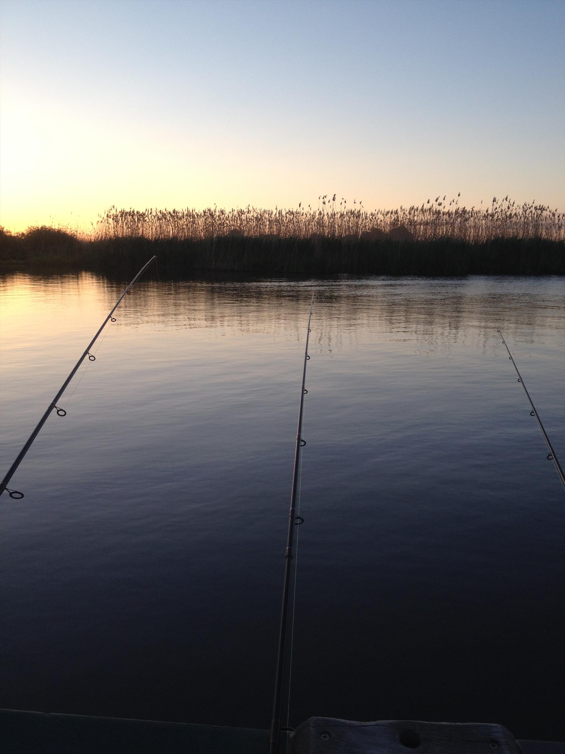 Delta Dunarii - img1127.JPG